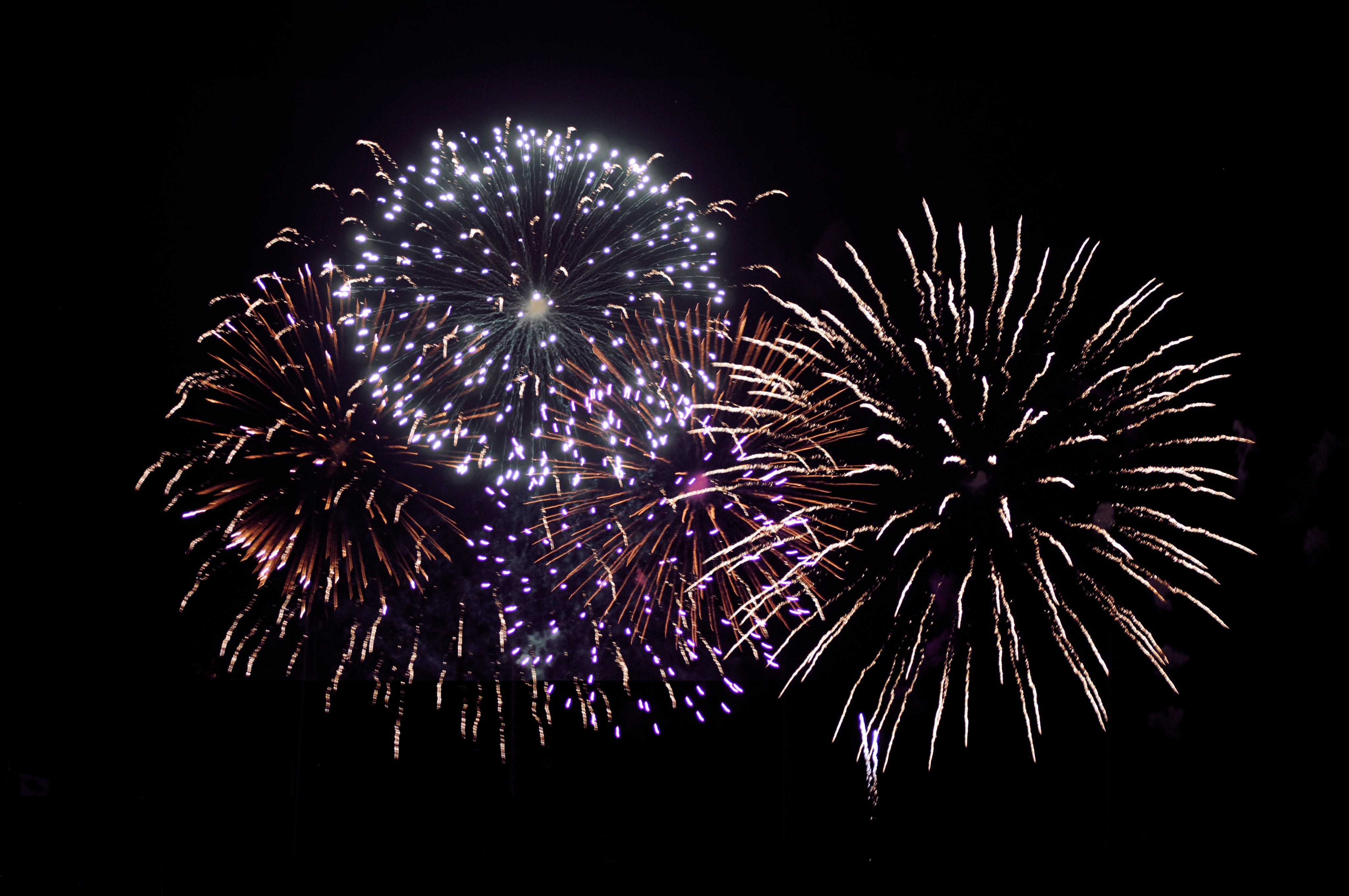 A flurry of colorful fireworks bursting into the night sky